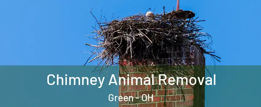 Chimney Animal Removal Green - OH