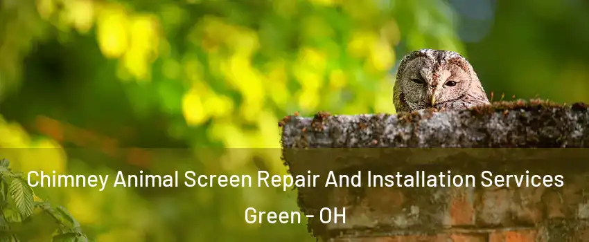  Chimney Animal Screen Repair And Installation Services Green - OH